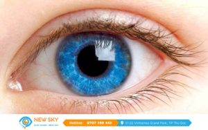 Cách chăm mắt hàng ngày để duy trì sức khỏe cho mắt của bạn